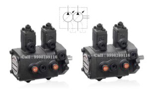 PVDF-370-370-15 Anson Hydraulic Variable Vane Pump